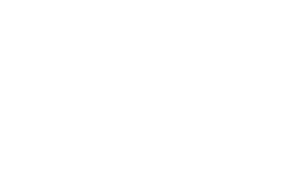 SPA Salonnepro